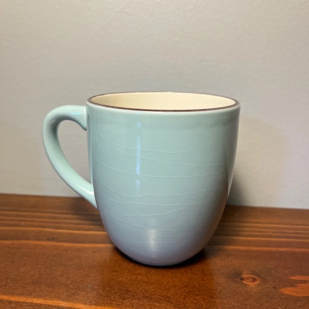 Crate & Barrel Audrey Coffee Mugs – Set of 4 (Robin’s Egg Blue)
